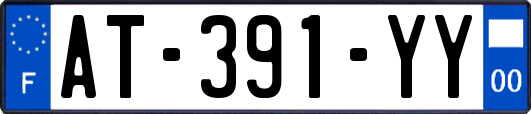 AT-391-YY