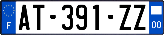 AT-391-ZZ