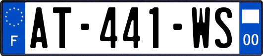AT-441-WS