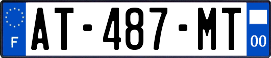 AT-487-MT