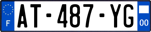 AT-487-YG