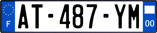AT-487-YM