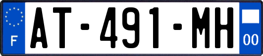 AT-491-MH