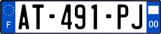 AT-491-PJ