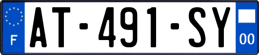AT-491-SY