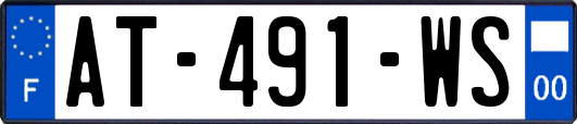 AT-491-WS