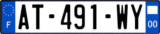 AT-491-WY