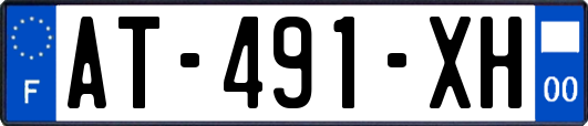 AT-491-XH