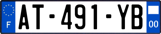 AT-491-YB