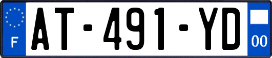 AT-491-YD