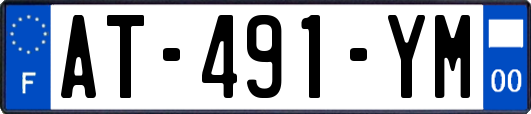 AT-491-YM