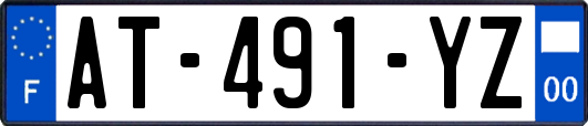 AT-491-YZ