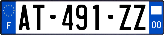 AT-491-ZZ