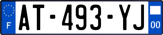 AT-493-YJ