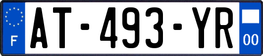 AT-493-YR