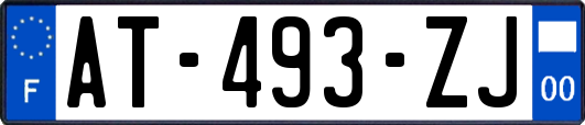 AT-493-ZJ