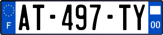 AT-497-TY