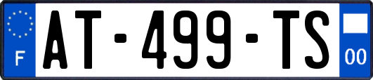 AT-499-TS