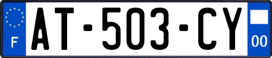 AT-503-CY