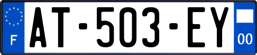 AT-503-EY