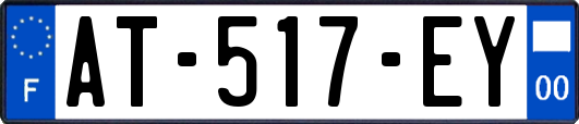 AT-517-EY