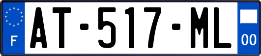 AT-517-ML