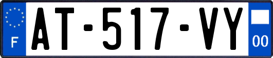 AT-517-VY