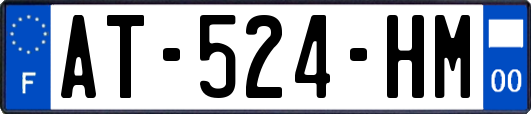 AT-524-HM