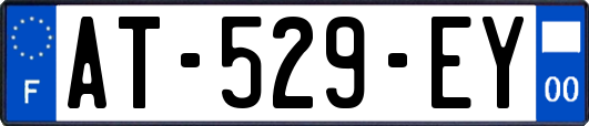 AT-529-EY