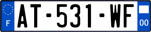 AT-531-WF
