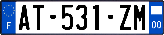 AT-531-ZM