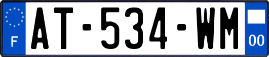 AT-534-WM