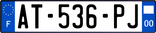 AT-536-PJ