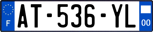 AT-536-YL