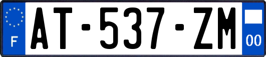 AT-537-ZM