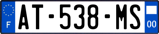 AT-538-MS