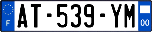 AT-539-YM