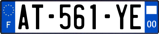 AT-561-YE
