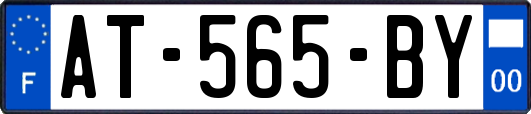 AT-565-BY