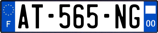AT-565-NG