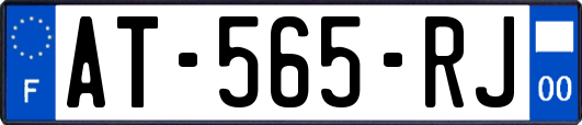 AT-565-RJ