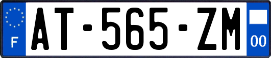 AT-565-ZM