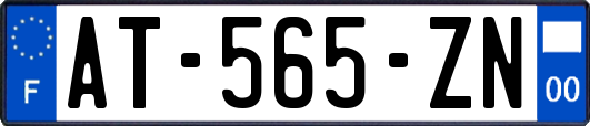 AT-565-ZN