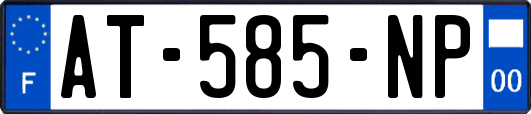 AT-585-NP