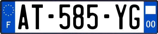 AT-585-YG