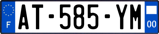 AT-585-YM
