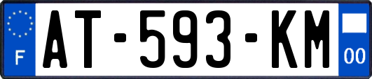 AT-593-KM