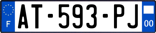 AT-593-PJ