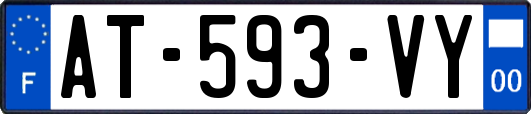 AT-593-VY