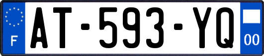 AT-593-YQ